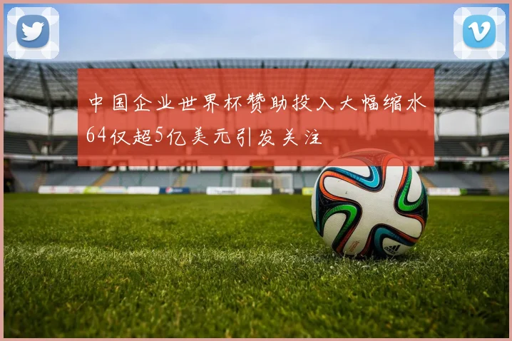 中国企业世界杯赞助投入大幅缩水64仅超5亿美元引发关注